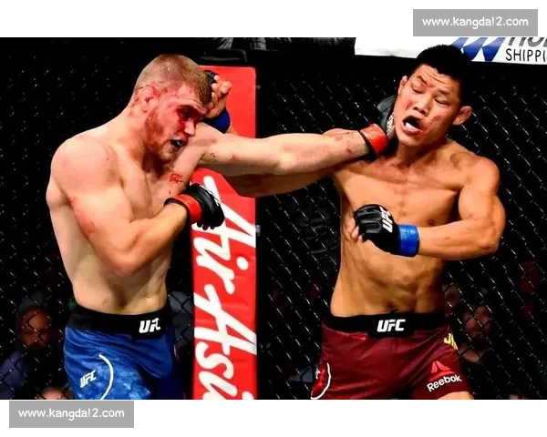 李景亮精彩瞬间盘点 UFC比赛全程回顾实力之战 李景亮精彩瞬间盘点 UFC比赛全程回顾实力之战